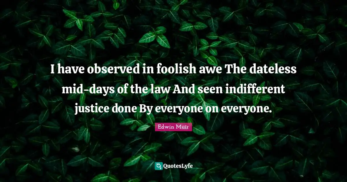 I have observed in foolish awe The dateless mid-days of the law And seen indifferent justice done By everyone on everyone.