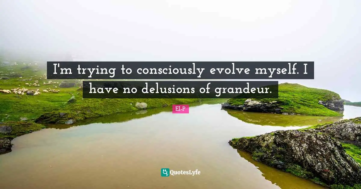 Delusions Quotes: "I'm trying to consciously evolve myself. I have no delusions of grandeur."