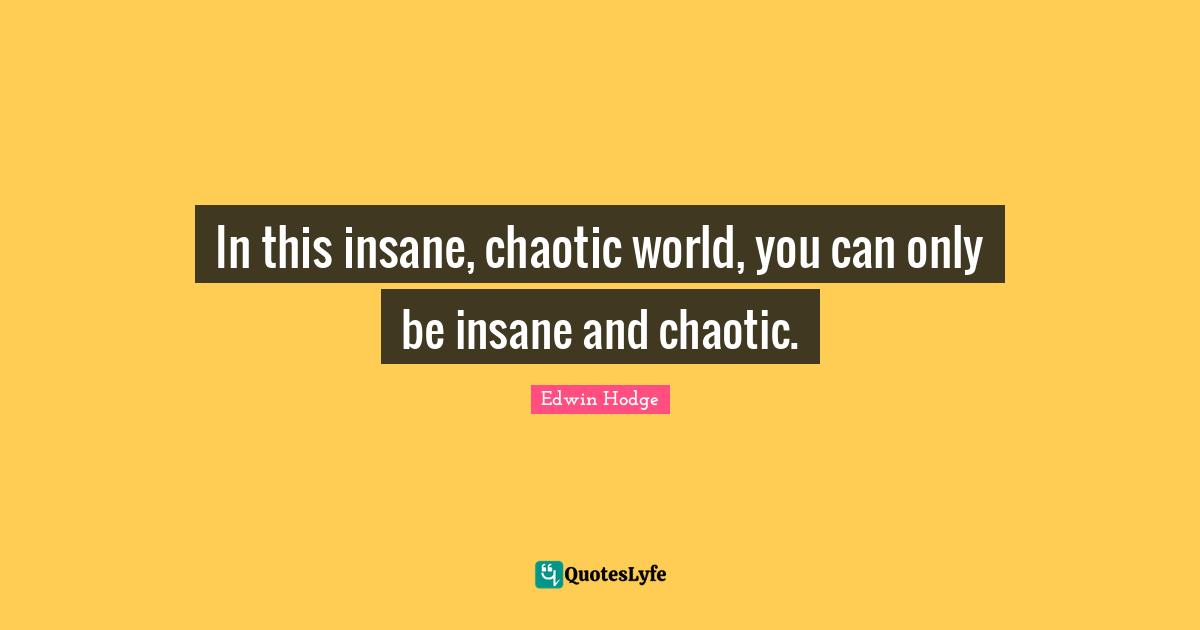 In this insane, chaotic world, you can only be insane and chaotic.