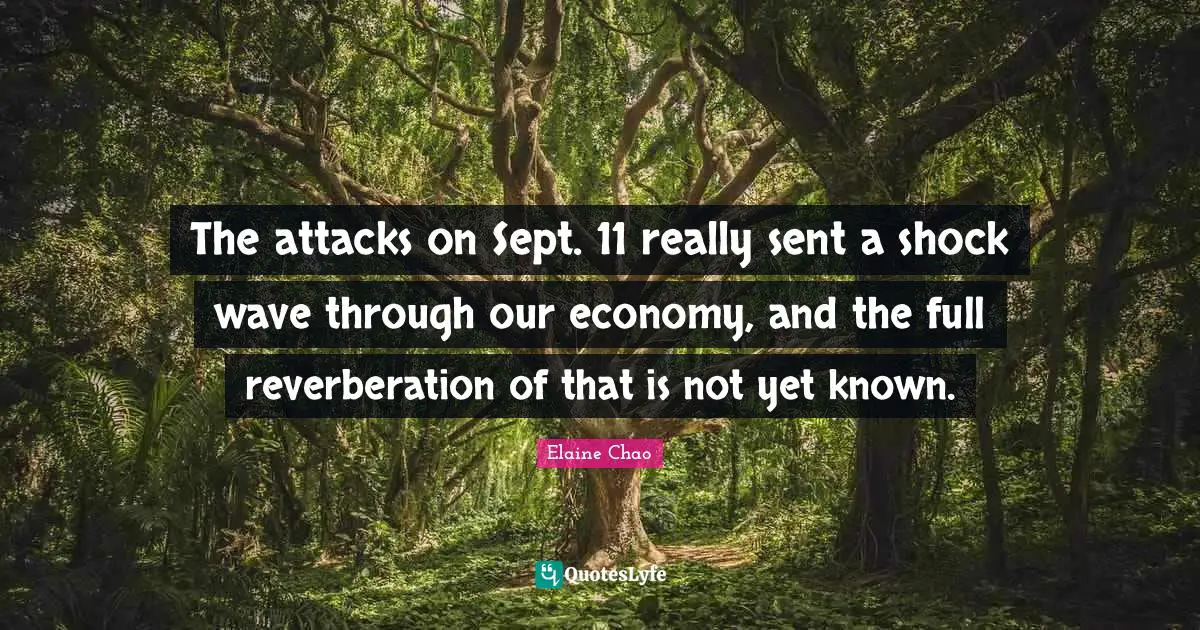 The attacks on Sept. 11 really sent a shock wave through our economy, and the full reverberation of that is not yet known.
