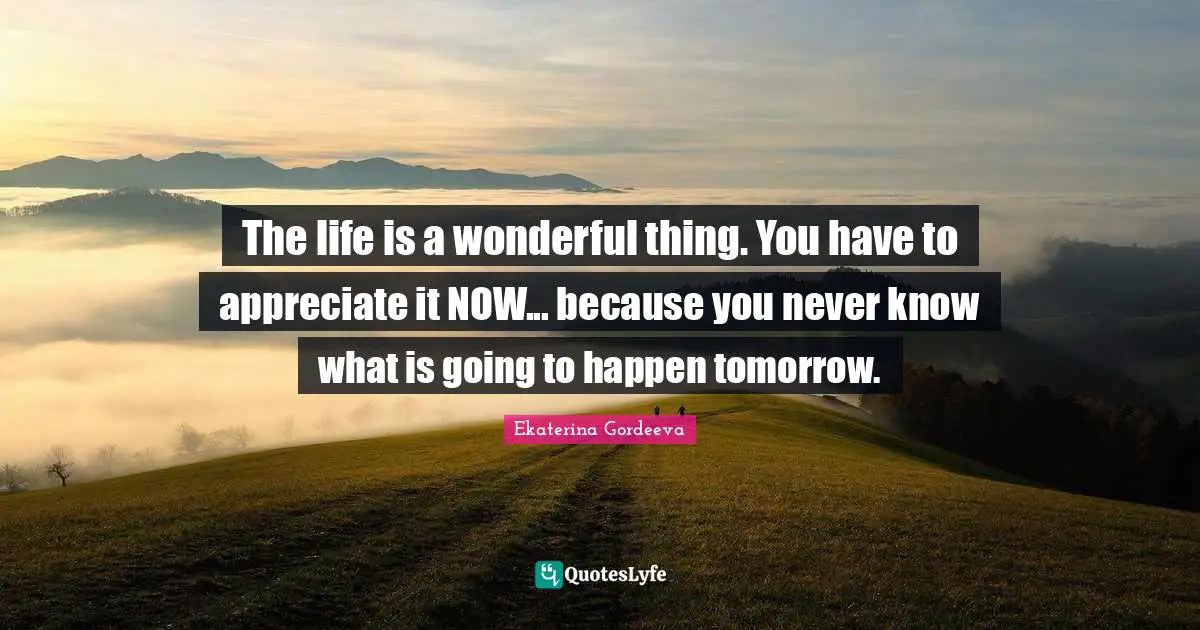 The life is a wonderful thing. You have to appreciate it NOW... because you never know what is going to happen tomorrow.
