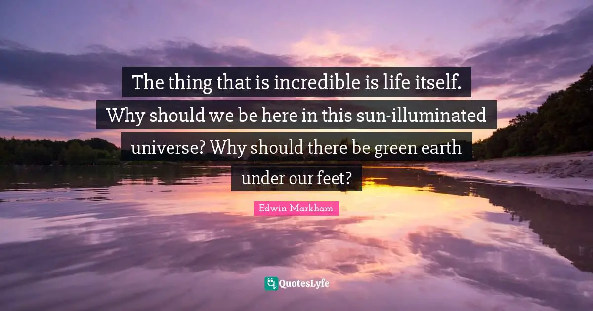 The thing that is incredible is life itself. Why should we be here in this sun-illuminated universe? Why should there be green earth under our feet?