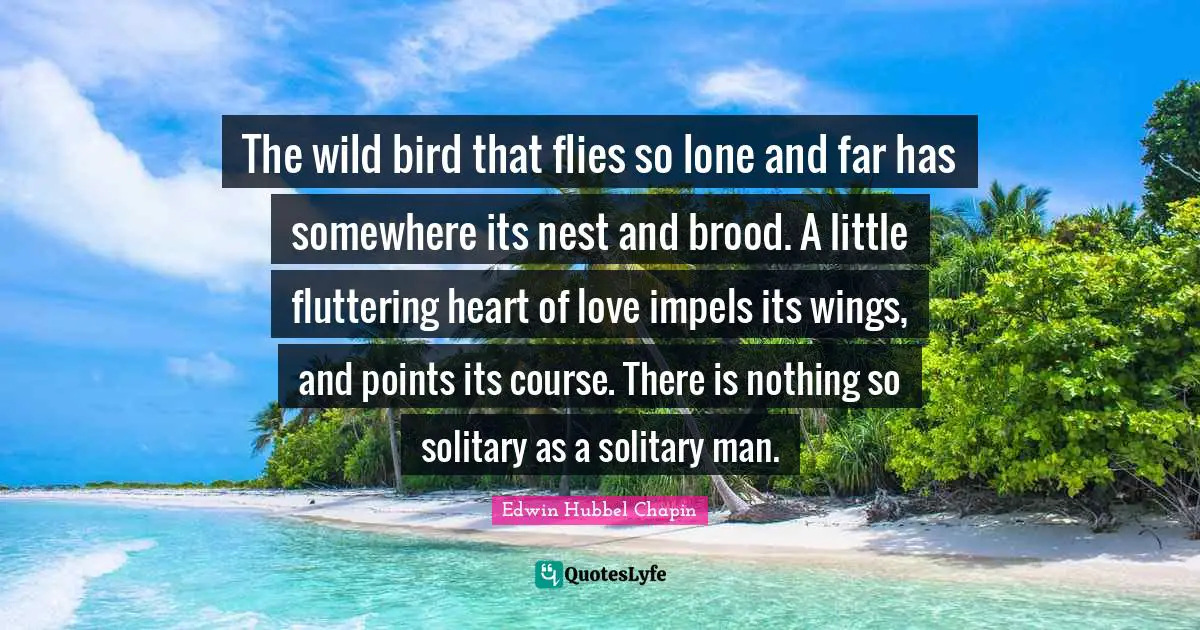 The wild bird that flies so lone and far has somewhere its nest and brood. A little fluttering heart of love impels its wings, and points its course. There is nothing so solitary as a solitary man.