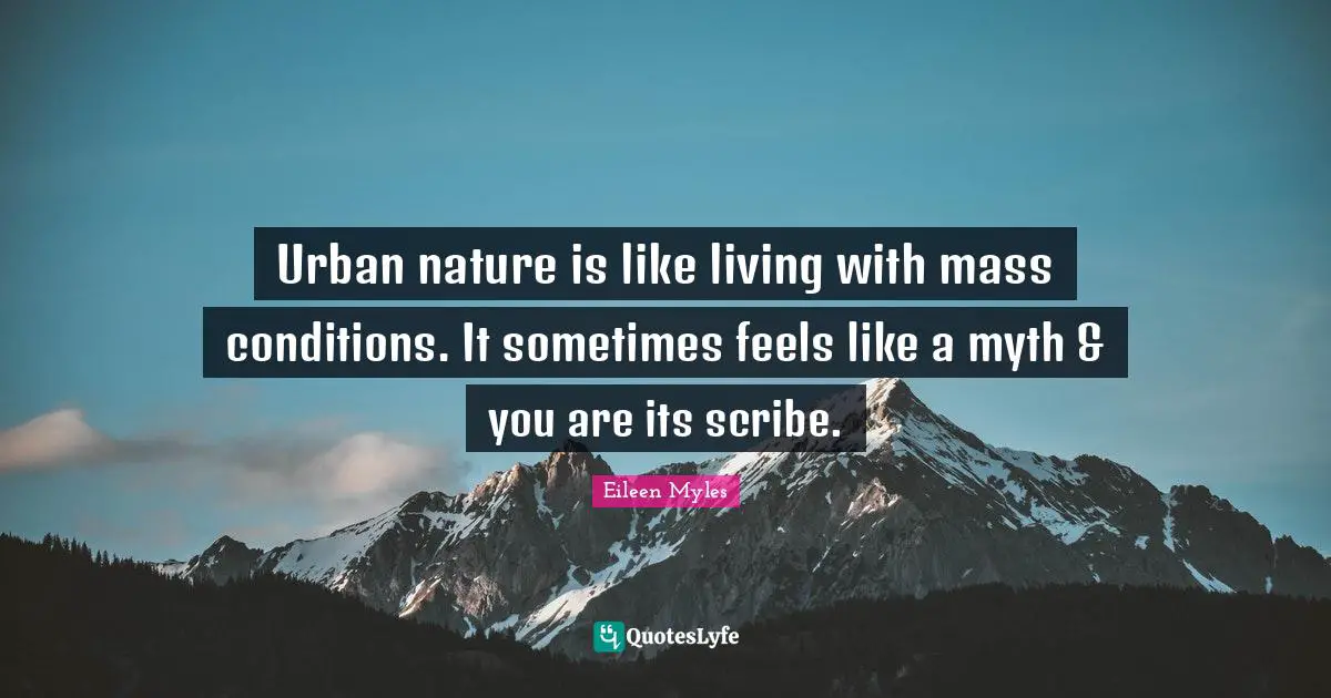 Urban nature is like living with mass conditions. It sometimes feels like a myth & you are its scribe.