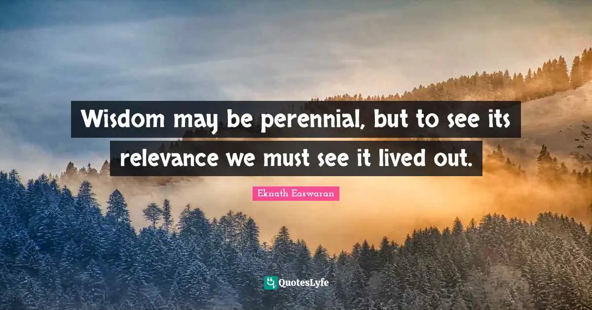 Wisdom may be perennial, but to see its relevance we must see it lived out.