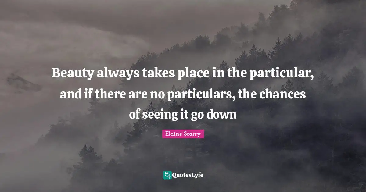 Beauty always takes place in the particular, and if there are no particulars, the chances of seeing it go down