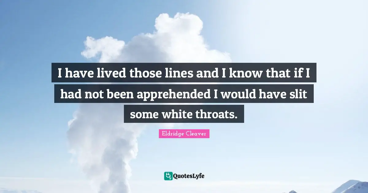 Throat Quotes: "I have lived those lines and I know that if I had not been apprehended I would have slit some white throats."
