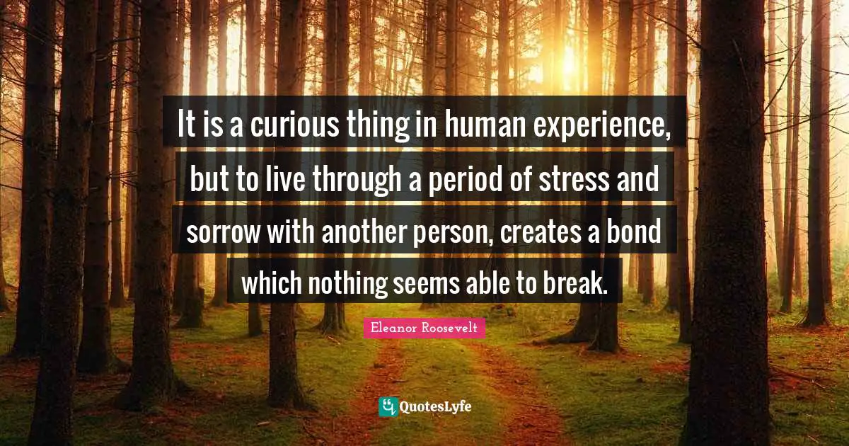 It is a curious thing in human experience, but to live through a period of stress and sorrow with another person, creates a bond which nothing seems able to break.