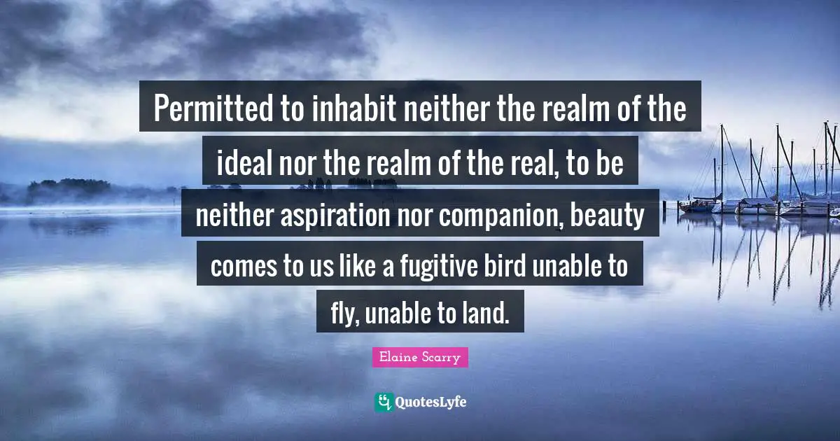 Permitted to inhabit neither the realm of the ideal nor the realm of the real, to be neither aspiration nor companion, beauty comes to us like a fugitive bird unable to fly, unable to land.