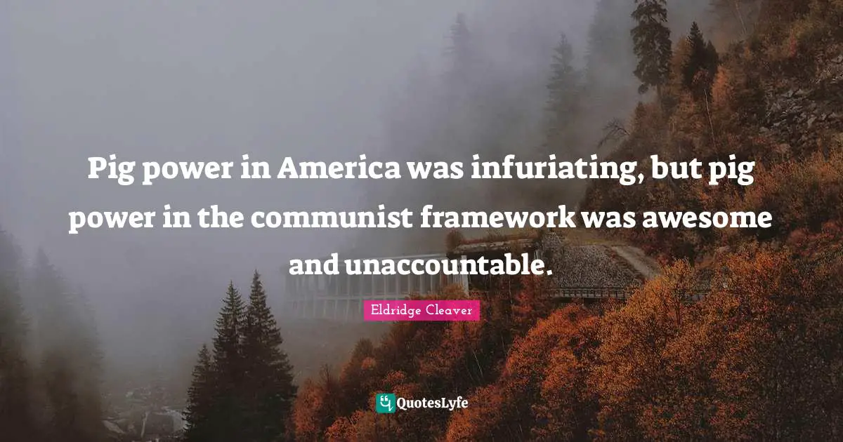 Pig power in America was infuriating, but pig power in the communist framework was awesome and unaccountable.