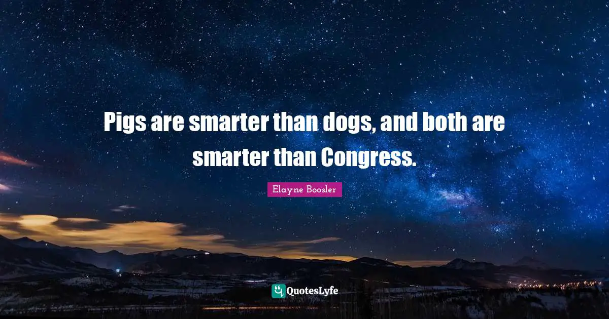 Pigs are smarter than dogs, and both are smarter than Congress.