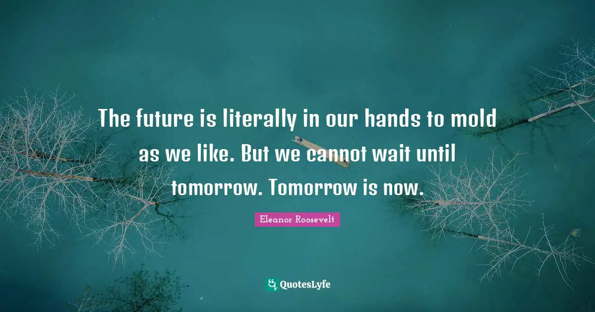 The future is literally in our hands to mold as we like. But we cannot wait until tomorrow. Tomorrow is now.