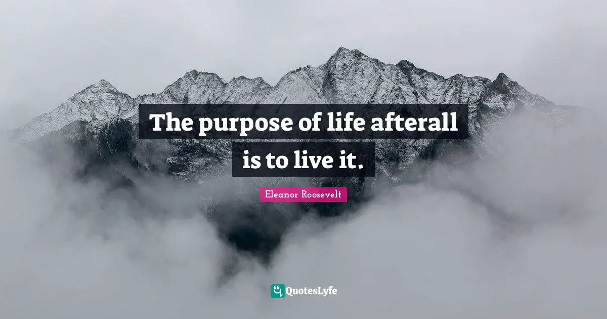 The purpose of life afterall is to live it.