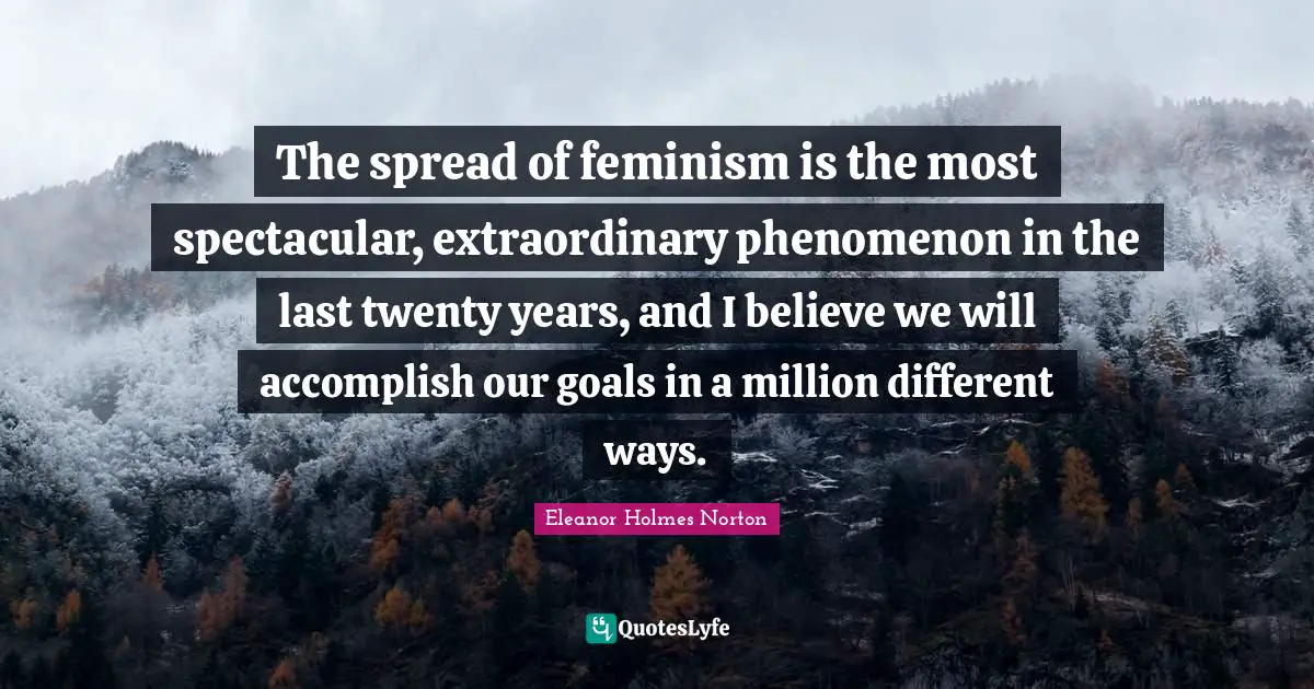 The spread of feminism is the most spectacular, extraordinary phenomenon in the last twenty years, and I believe we will accomplish our goals in a million different ways.