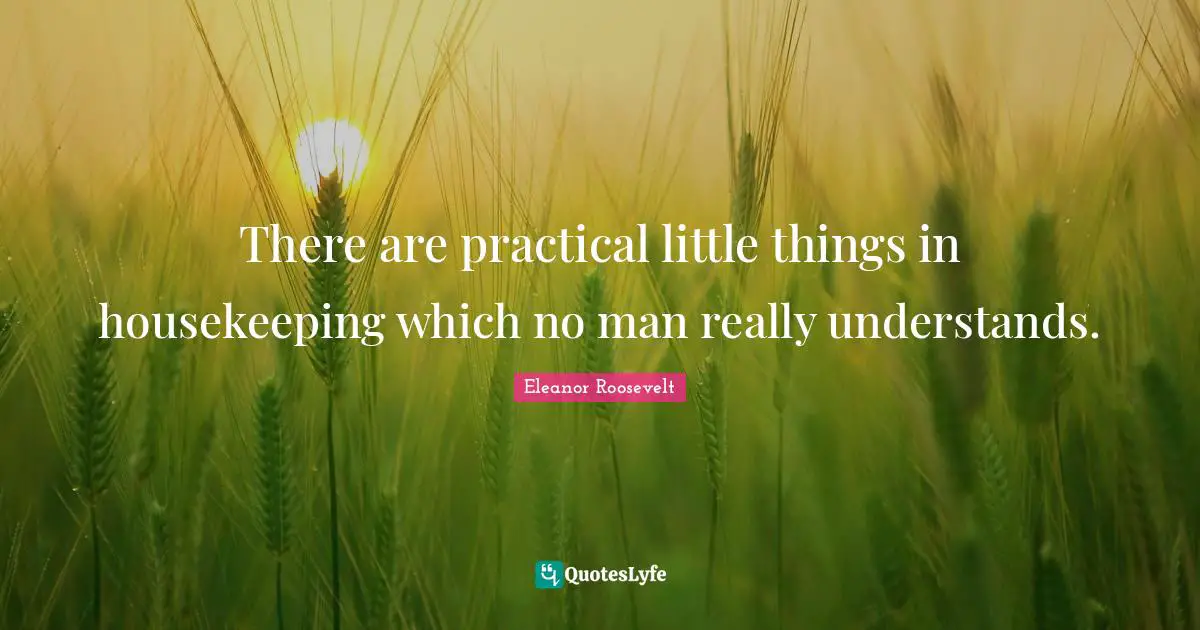 Housekeeping Quotes: "There are practical little things in housekeeping which no man really understands."
