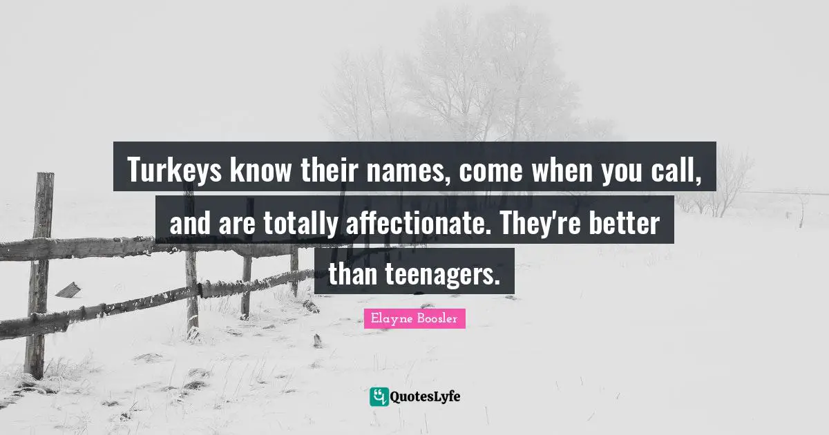 Turkeys know their names, come when you call, and are totally affectionate. They're better than teenagers.
