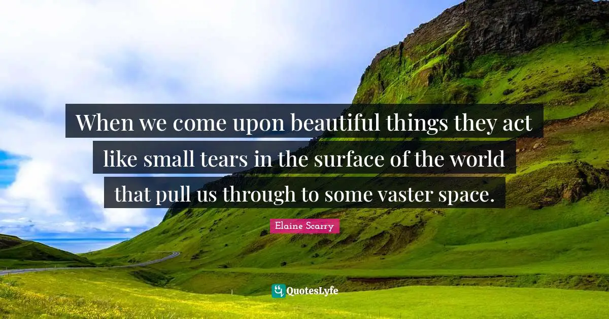 Beautiful Things Quotes: "When we come upon beautiful things they act like small tears in the surface of the world that pull us through to some vaster space."