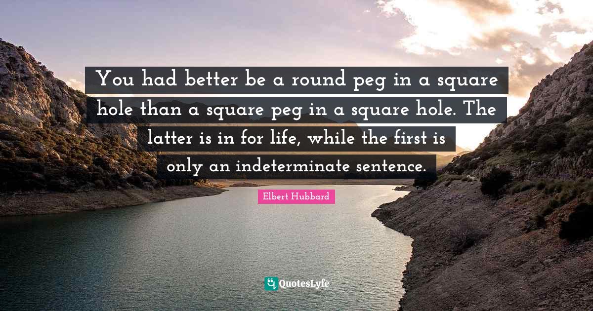 You had better be a round peg in a square hole than a square peg in a