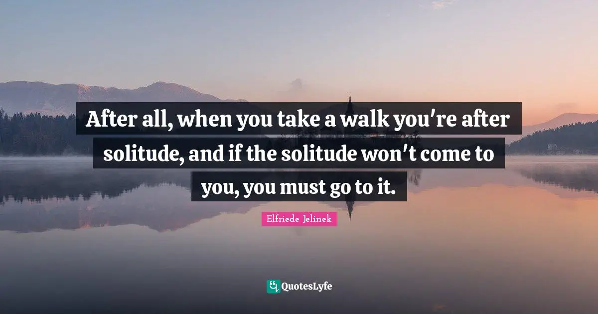 After all, when you take a walk you're after solitude, and if the solitude won't come to you, you must go to it.