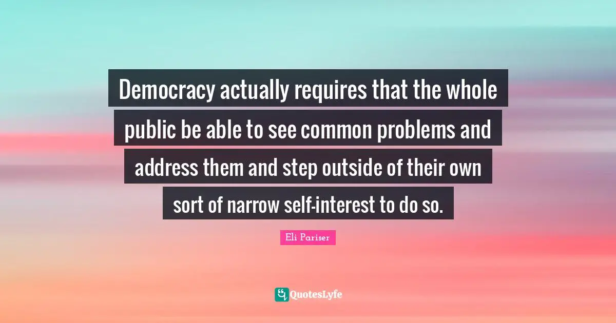 Democracy actually requires that the whole public be able to see common problems and address them and step outside of their own sort of narrow self-interest to do so.