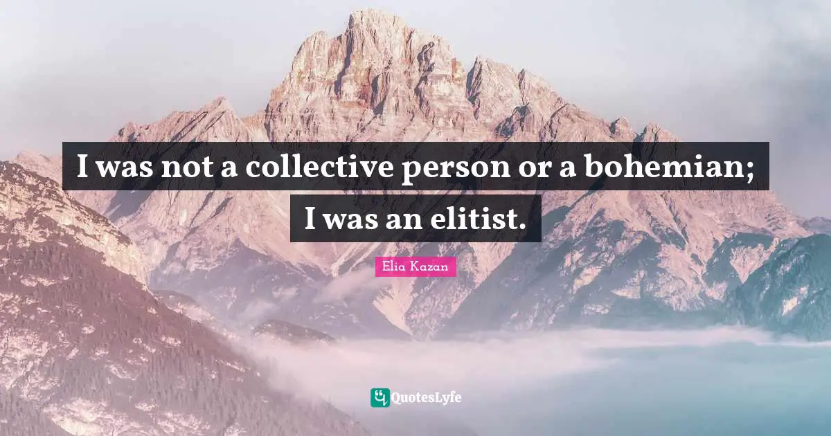I was not a collective person or a bohemian; I was an elitist.