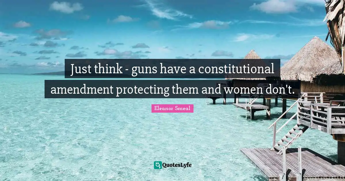 Just think - guns have a constitutional amendment protecting them and women don't.