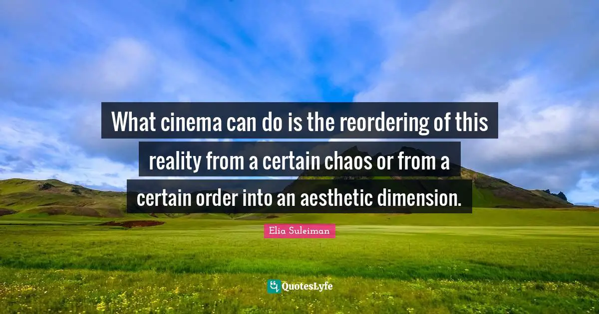 What cinema can do is the reordering of this reality from a certain chaos or from a certain order into an aesthetic dimension.