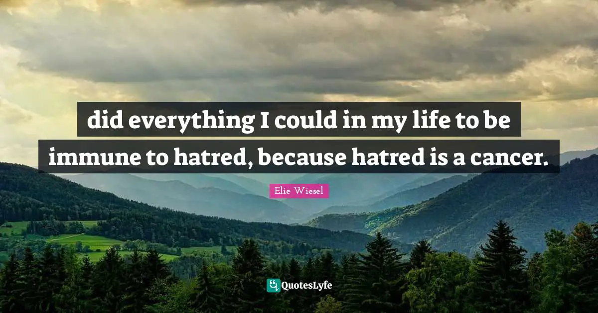 did everything I could in my life to be immune to hatred, because hatred is a cancer.