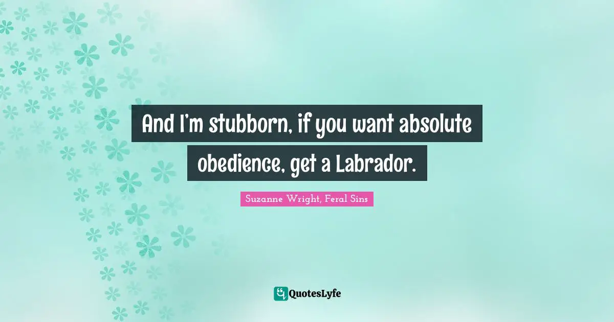 And I’m stubborn, if you want absolute obedience, get a Labrador.