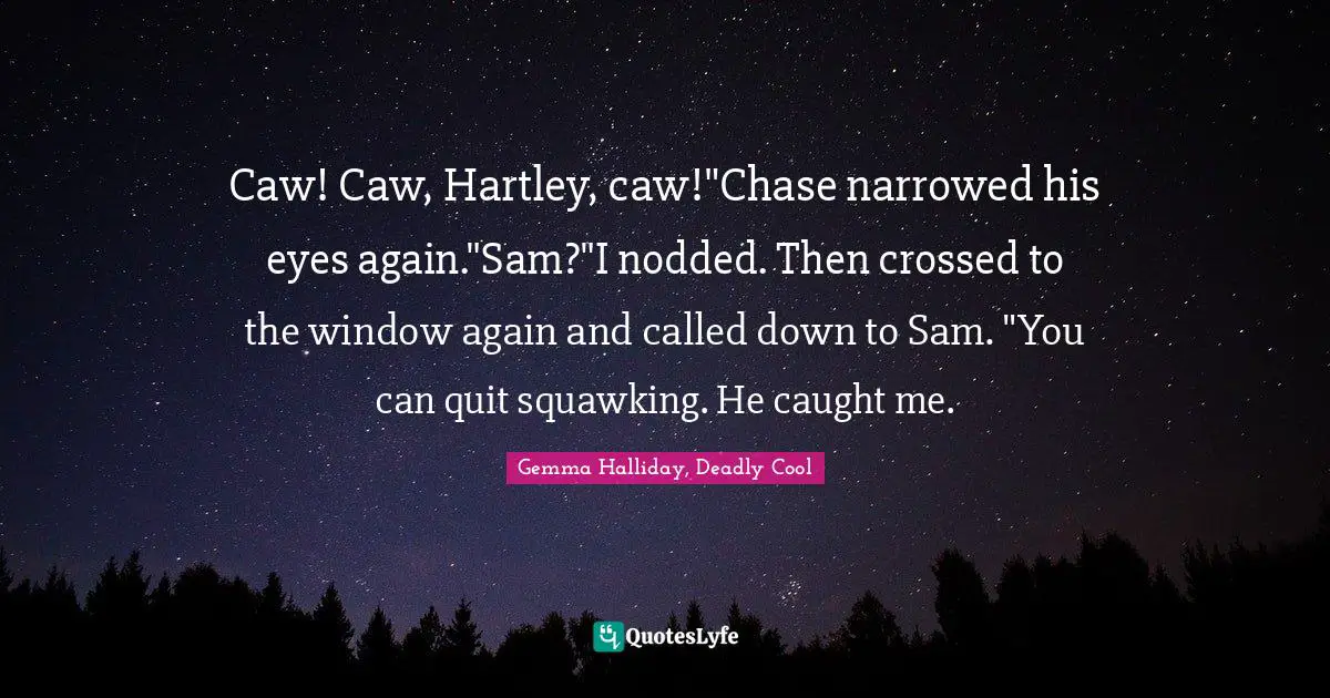 Caw! Caw, Hartley, caw!"Chase narrowed his eyes again."Sam?"I nodded. Then crossed to the window again and called down to Sam. "You can quit squawking. He caught me.