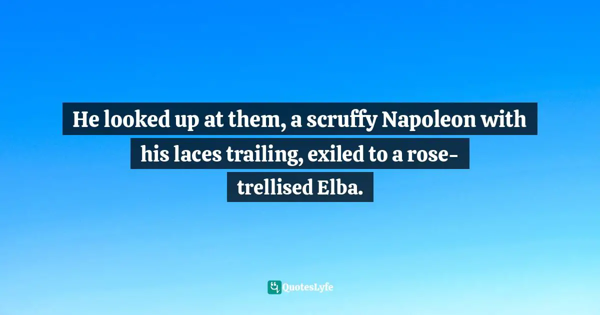 He looked up at them, a scruffy Napoleon with his laces trailing, exiled to a rose-trellised Elba.