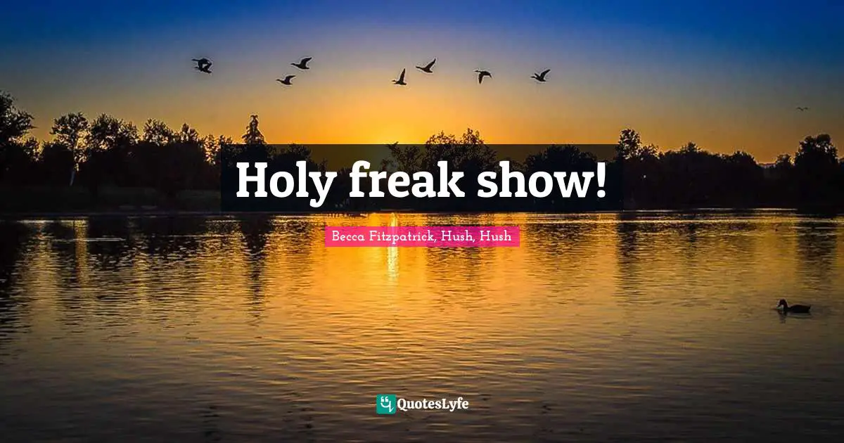Becca Fitzpatrick, Hush, Hush Quotes: Holy freak show!