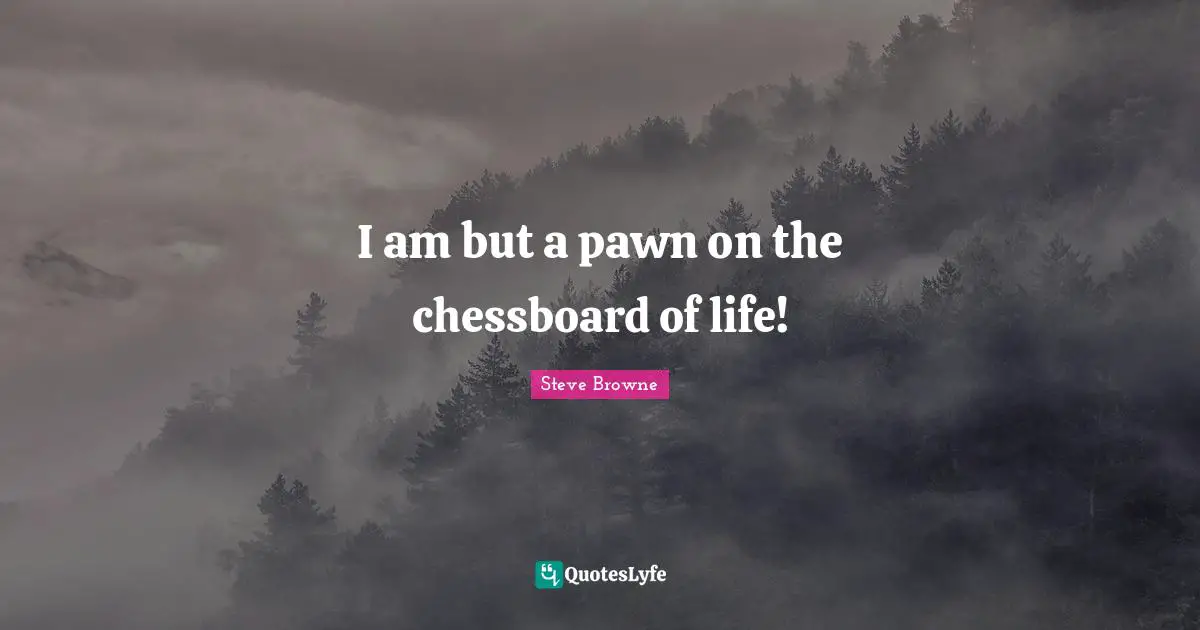 I am but a pawn on the chessboard of life!