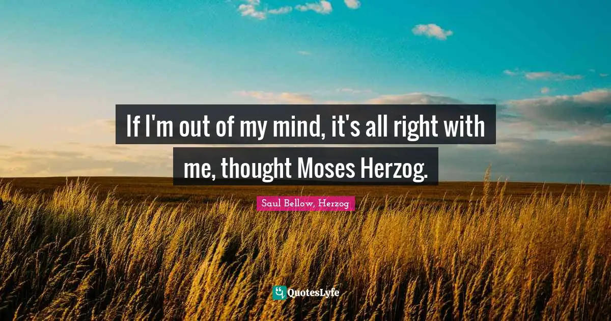 If I'm out of my mind, it's all right with me, thought Moses Herzog.