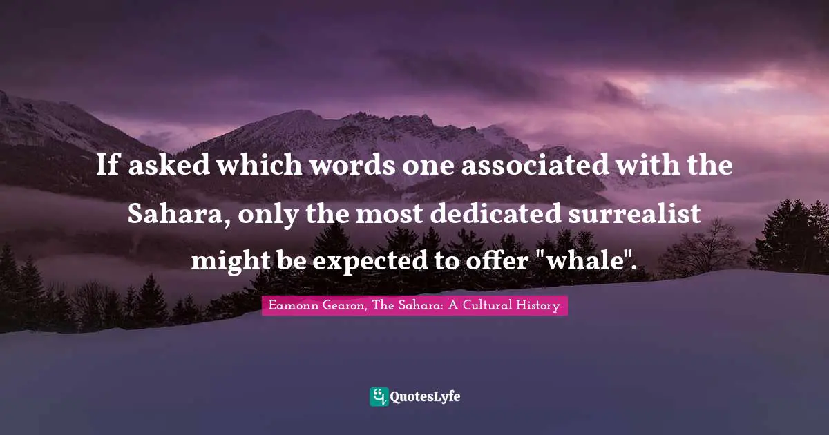If asked which words one associated with the Sahara, only the most dedicated surrealist might be expected to offer "whale".