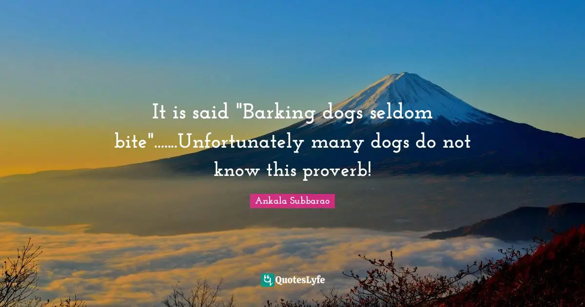 It is said "Barking dogs seldom bite".......Unfortunately many dogs do not know this proverb!