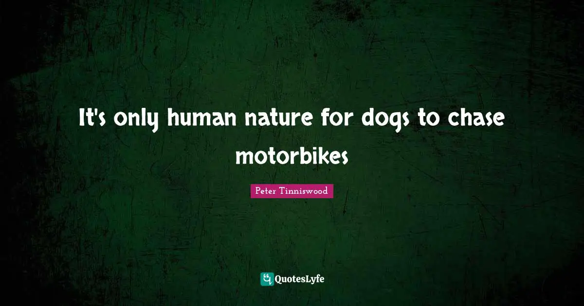 It's only human nature for dogs to chase motorbikes