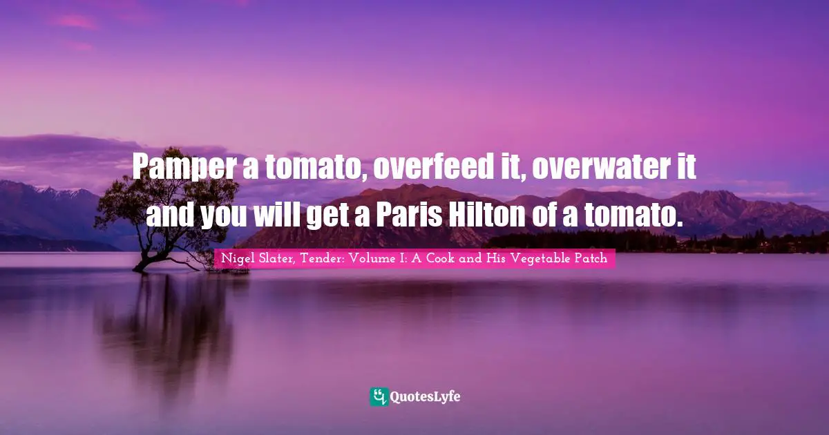 Pamper a tomato, overfeed it, overwater it and you will get a Paris Hilton of a tomato.