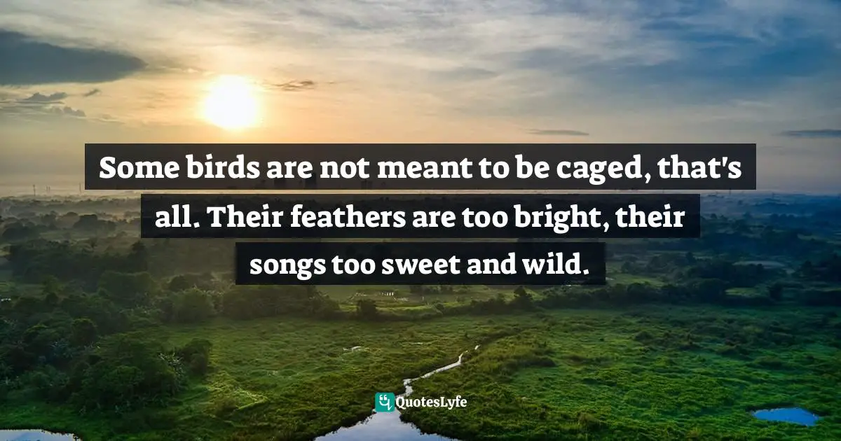 Caged Quotes: "Some birds are not meant to be caged, that's all. Their feathers are too bright, their songs too sweet and wild."