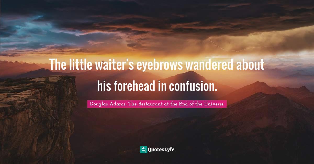 The little waiter's eyebrows wandered about his forehead in confusion
