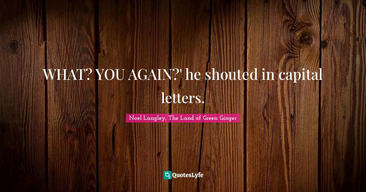 Noel Langley, The Land Of Green Ginger Quotes: "WHAT? YOU AGAIN?' he shouted in capital letters."