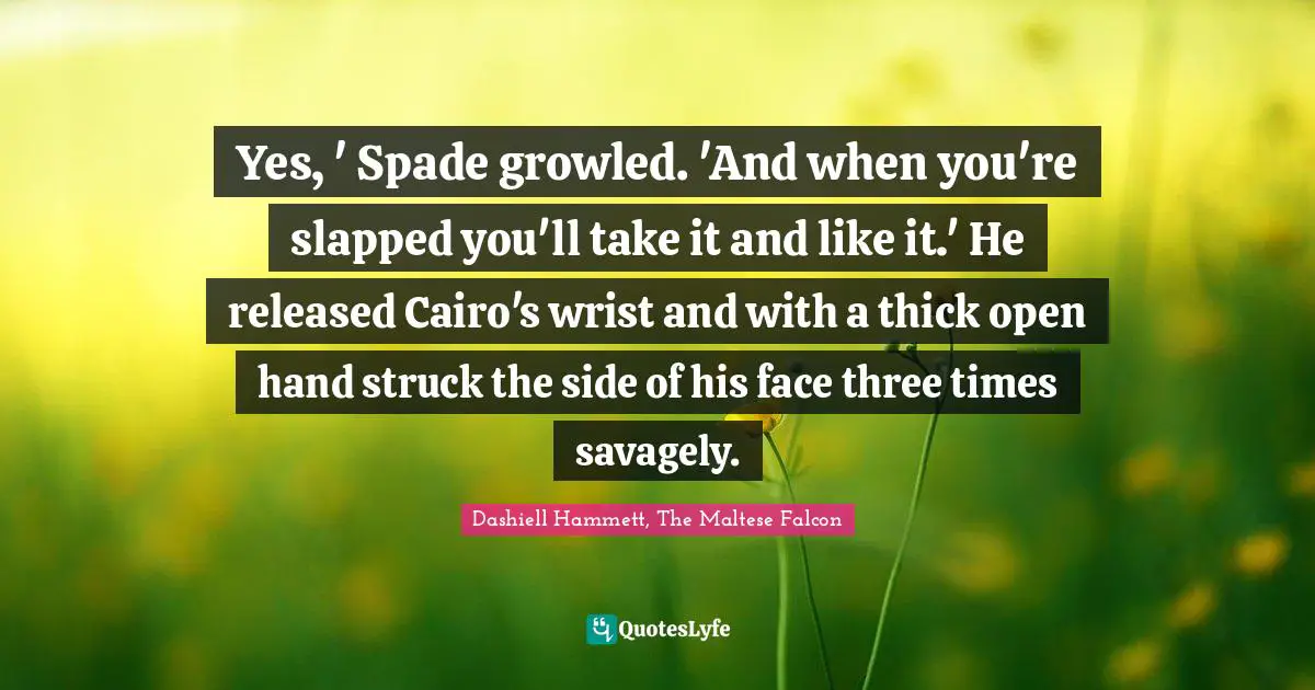 Yes, ' Spade growled. 'And when you're slapped you'll take it and like it.' He released Cairo's wrist and with a thick open hand struck the side of his face three times savagely.