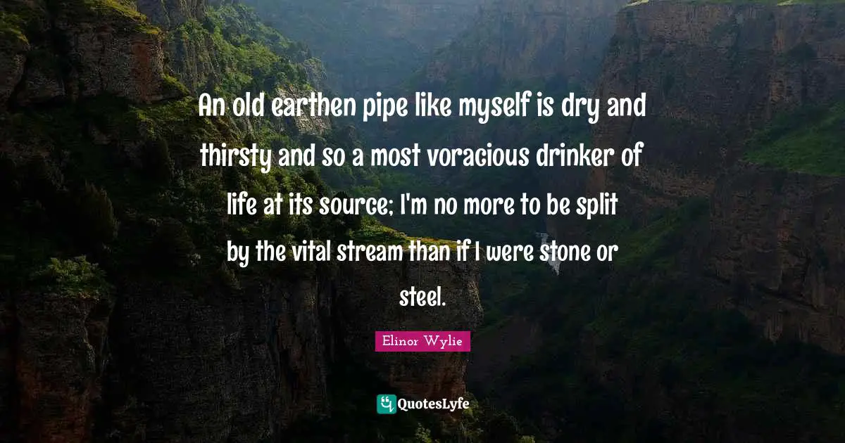 An old earthen pipe like myself is dry and thirsty and so a most voracious drinker of life at its source; I'm no more to be split by the vital stream than if I were stone or steel.