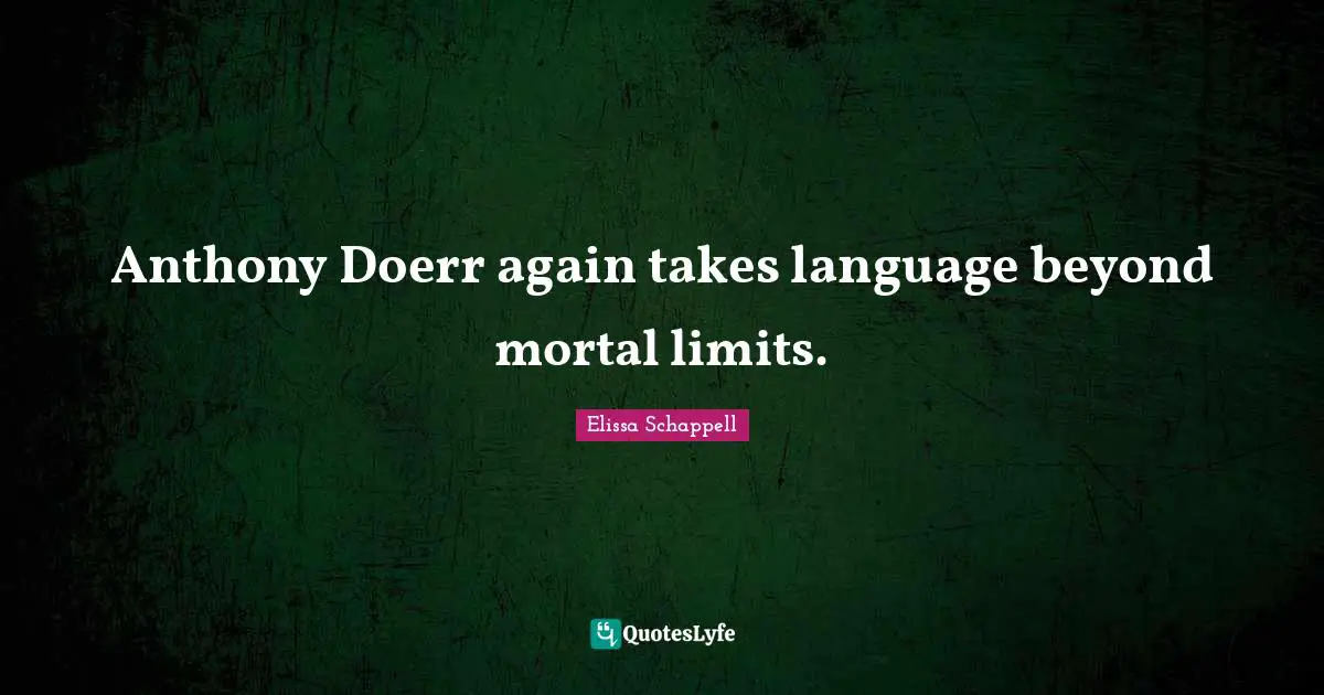 Anthony Doerr again takes language beyond mortal limits.