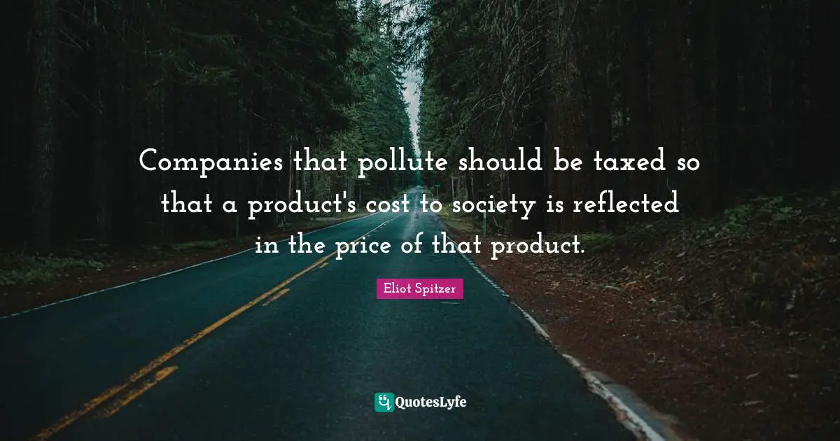 Companies that pollute should be taxed so that a product's cost to society is reflected in the price of that product.
