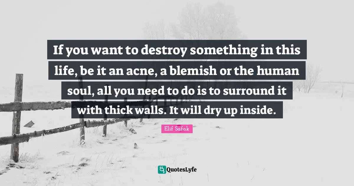 Wall Quotes: "If you want to destroy something in this life, be it an acne, a blemish or the human soul, all you need to do is to surround it with thick walls. It will dry up inside."