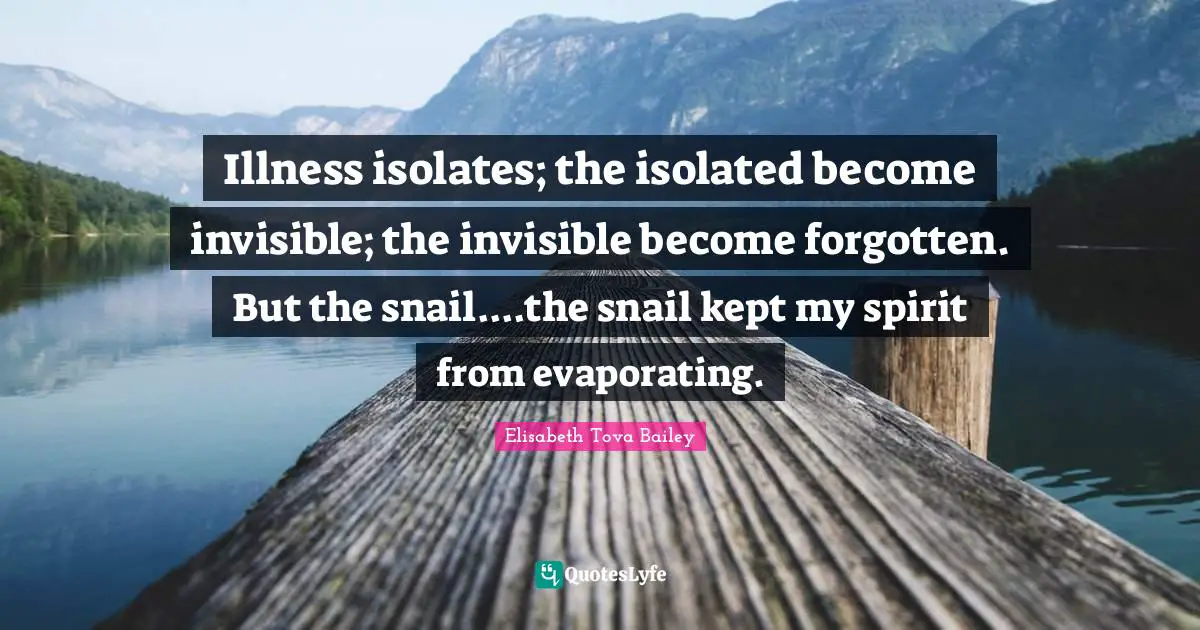 Snail Quotes: "Illness isolates; the isolated become invisible; the invisible become forgotten. But the snail....the snail kept my spirit from evaporating."