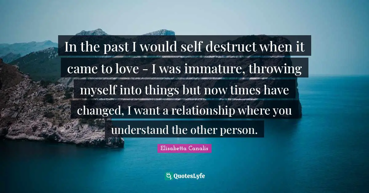 I Have Changed Quotes: "In the past I would self destruct when it came to love - I was immature, throwing myself into things but now times have changed, I want a relationship where you understand the other person."