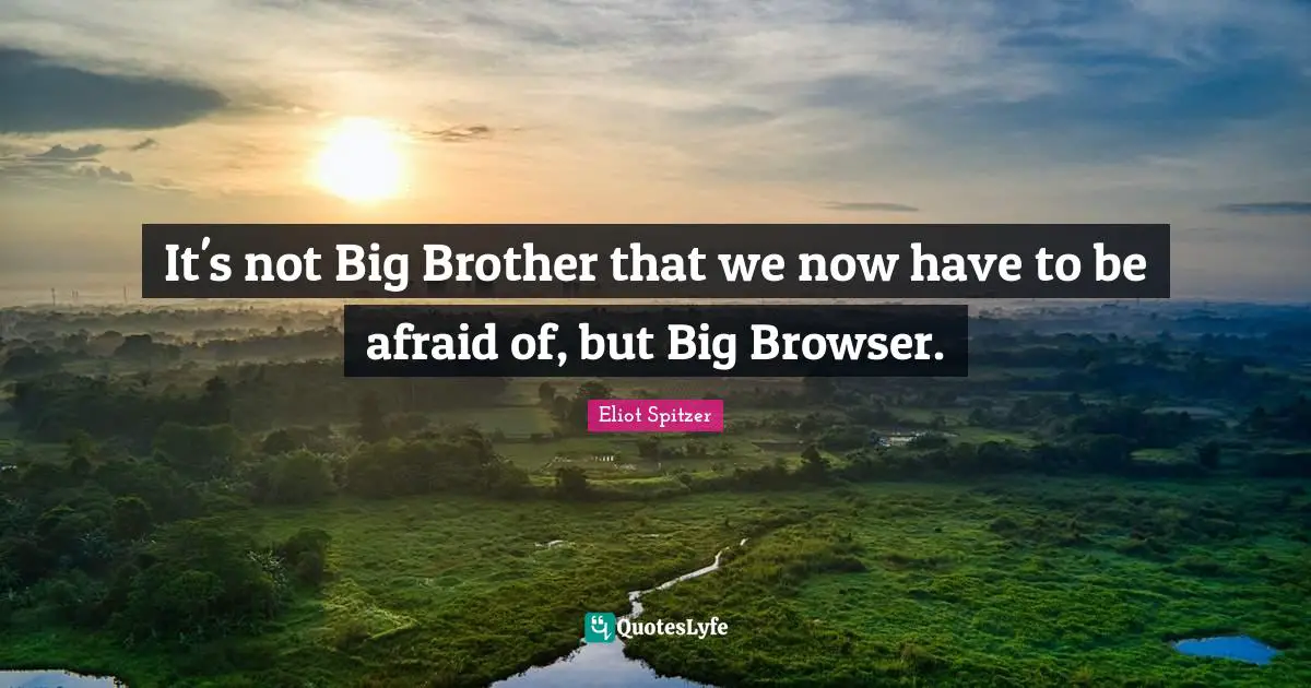 It's not Big Brother that we now have to be afraid of, but Big Browser.