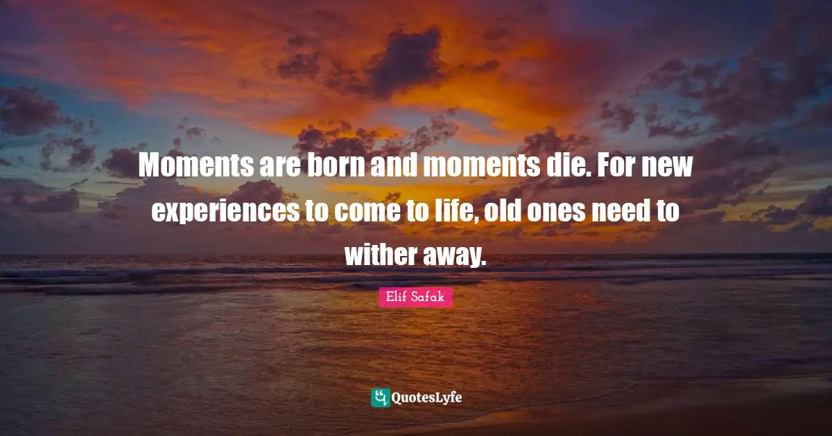 Moments Quotes: "Moments are born and moments die. For new experiences to come to life, old ones need to wither away."